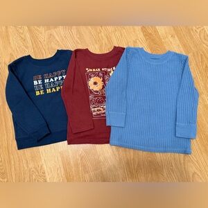 Bundle of Three Garanimals Sweater (Size 2T/24M)